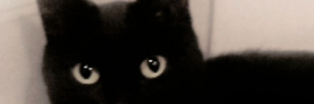 Маен и Кошки 🐱