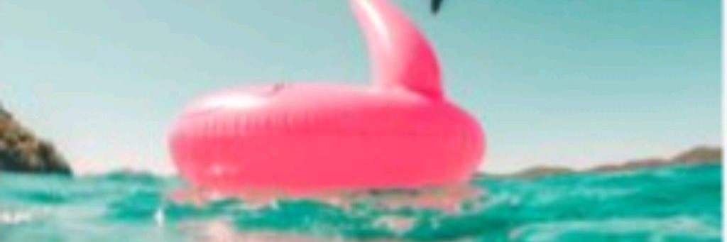 🦩Мишеликс rbx🍧