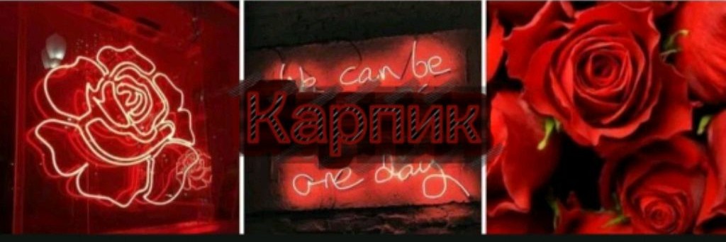«[Karpyk]»|PLAY 💯