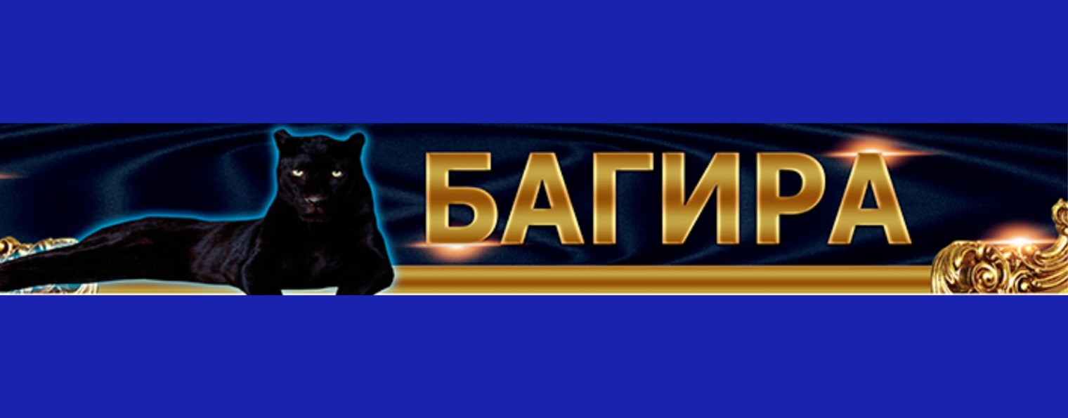 Дневник Багиры