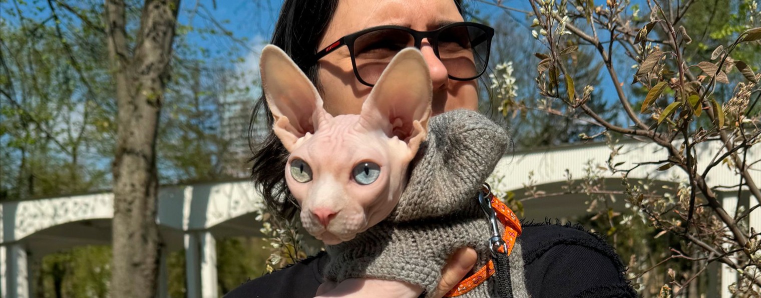 SphynxGang