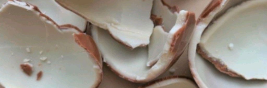 ๑𝗍r᥆⍴іᥴᥲᥣ ᥱs𝗍ᥱᥣᥣᥱᥫ᭡🥭