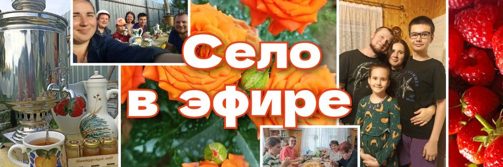 Село в эфире