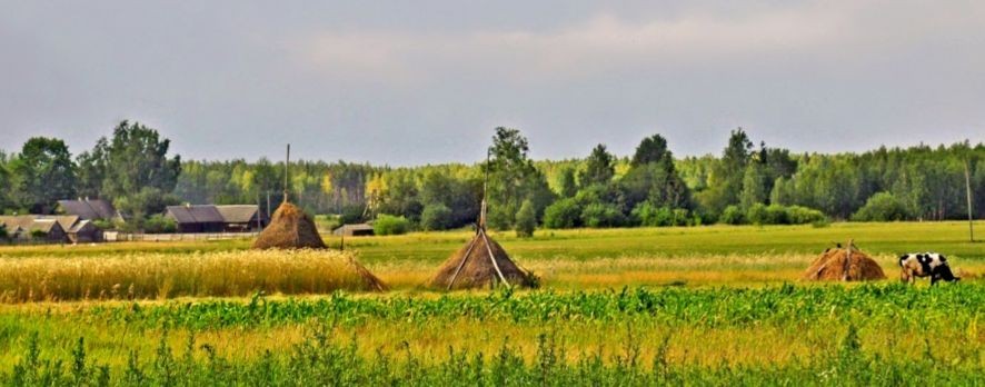 Между городом и дачей
