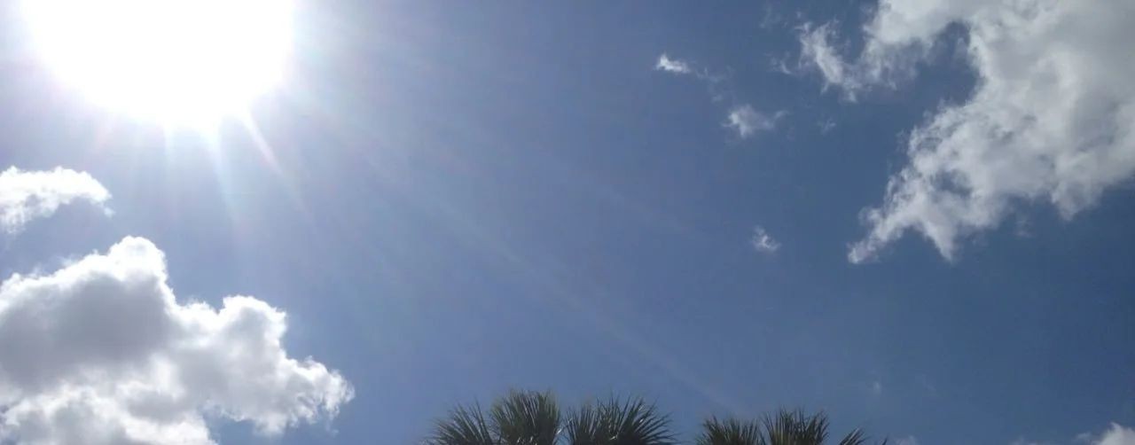 Sunny Land