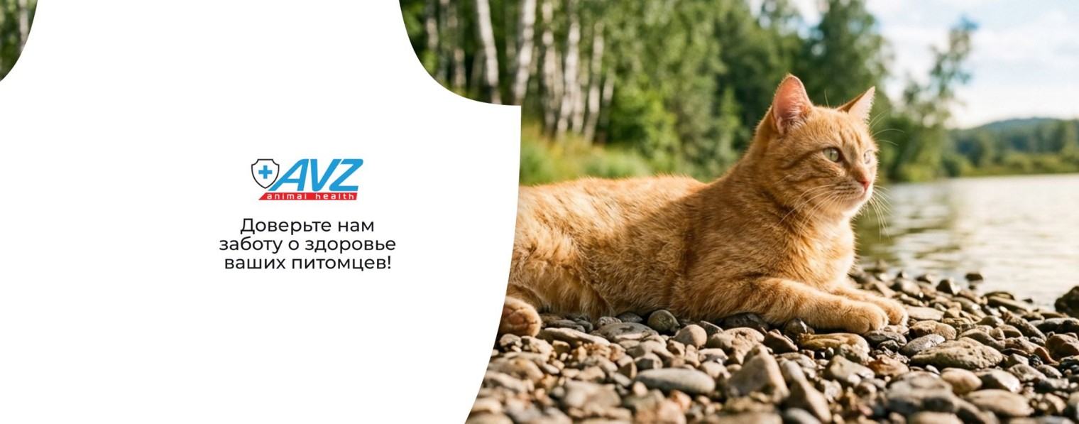 AVZ. Дайджест о здоровье животных