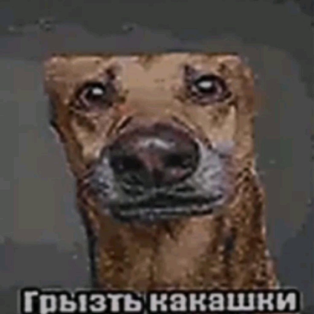 Твич