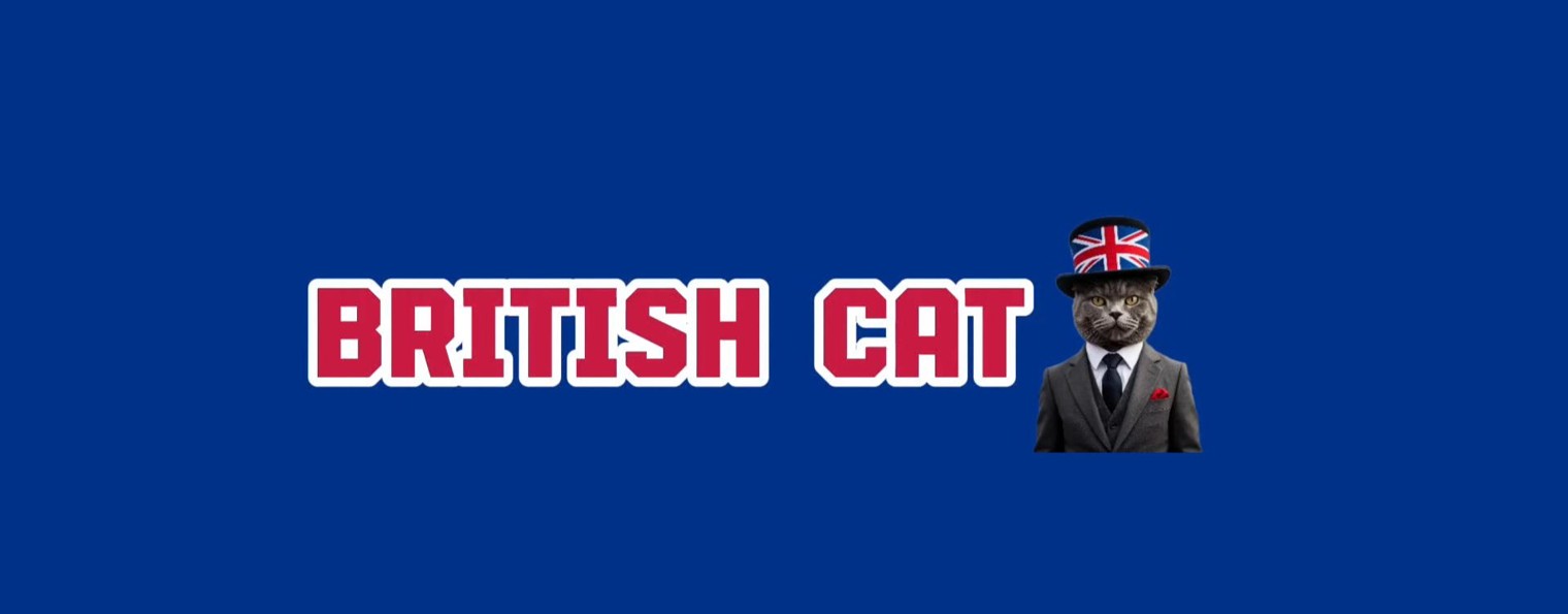 British cat - Английский для всех