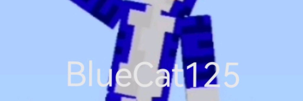 BlueCat125