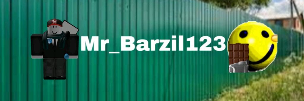Mr_barzil123