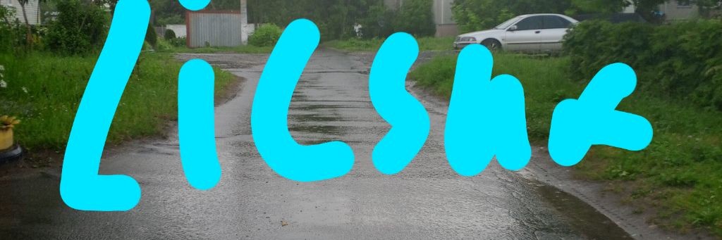 Licsur
