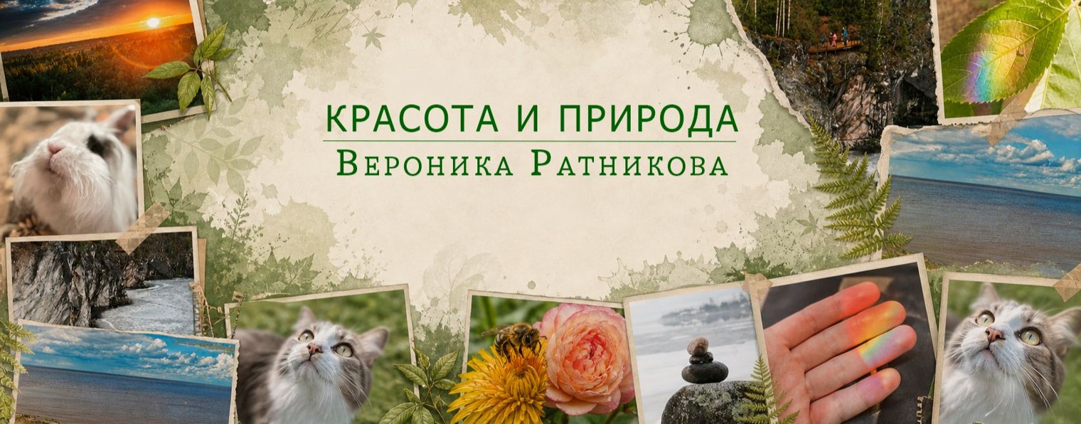 Красота и природа I Вероника Ратникова