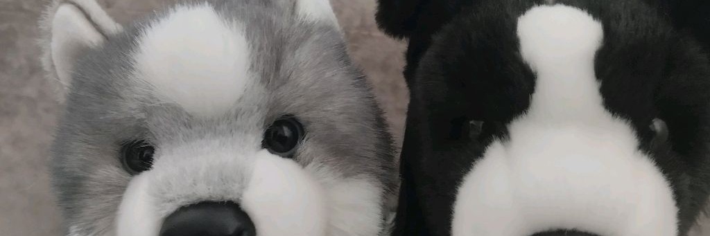 ♡~Doglife~PDB~♡