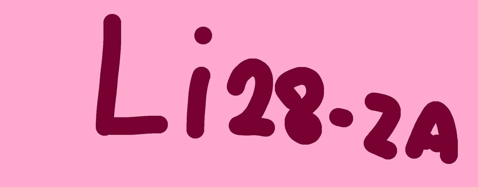 Li28-za