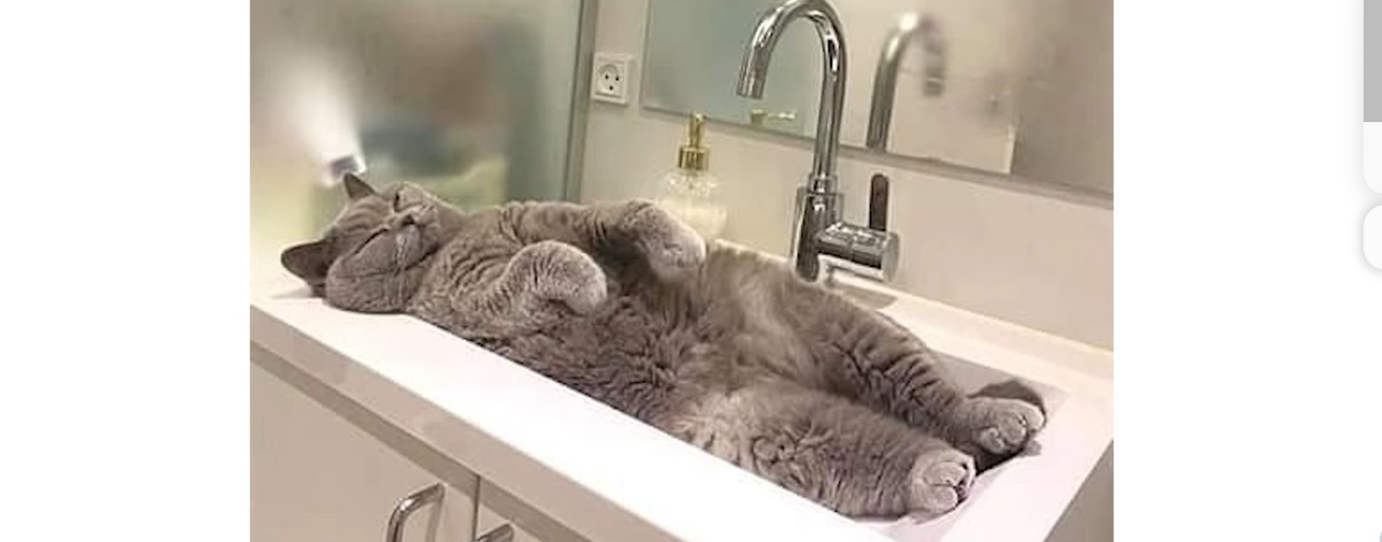 Котеус