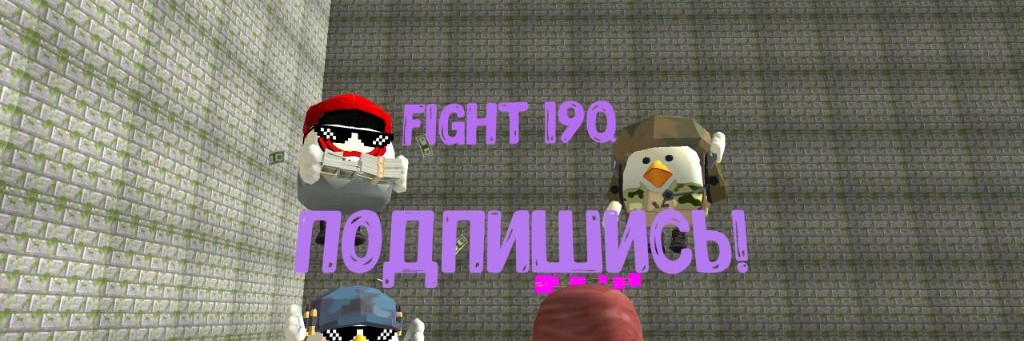 Fight 19q