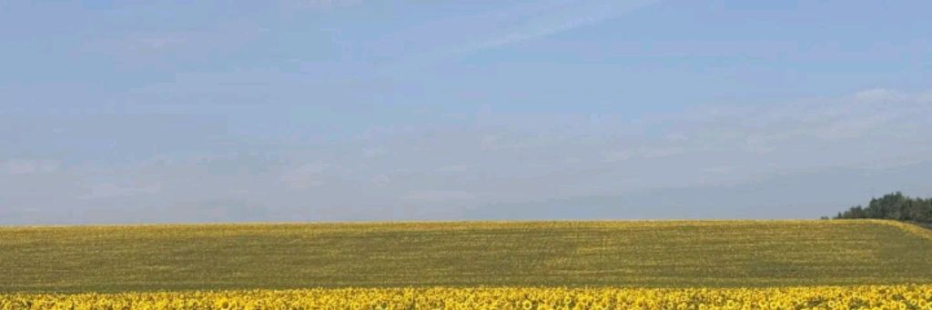 Кристи обо всем на свете