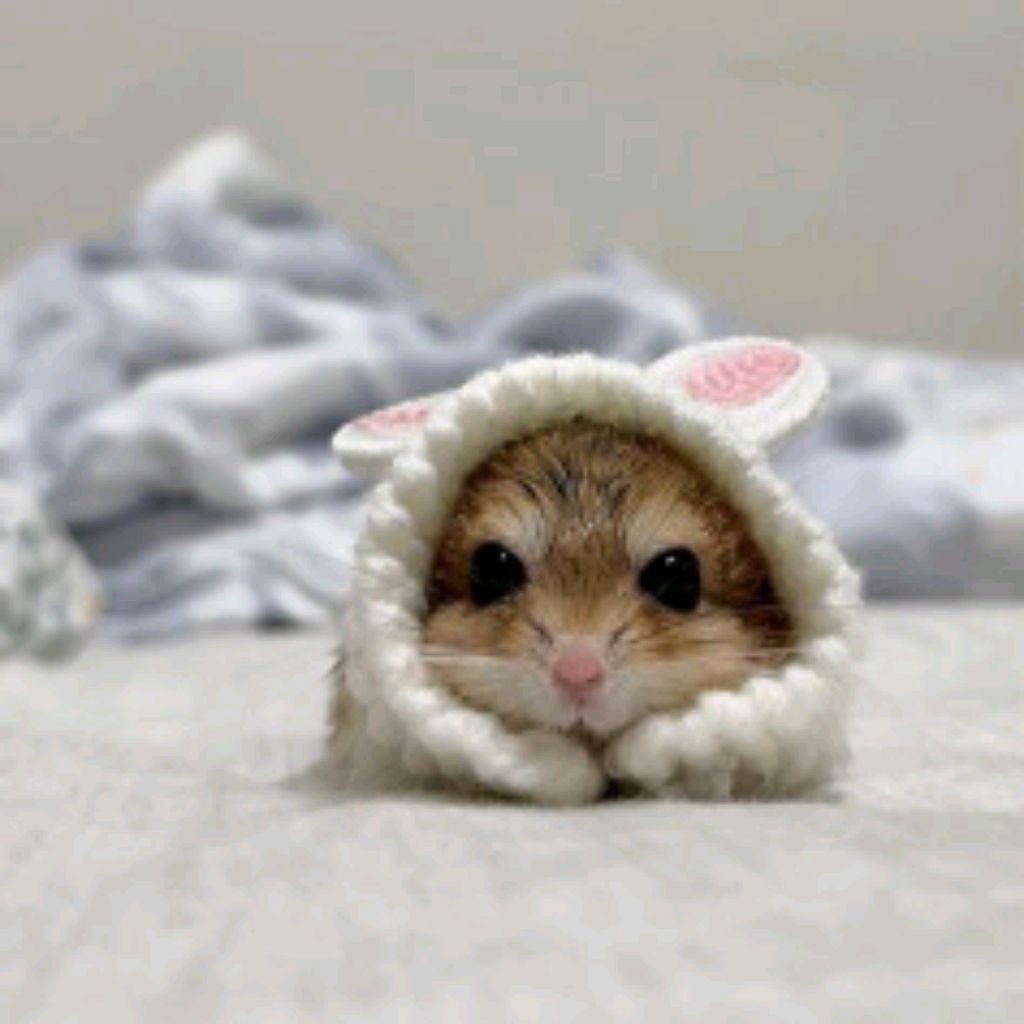 ๑_Sstarnova _life_๑
