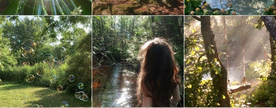 -բlօաҽɾs ˚🐚🌾