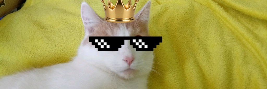 Бар$юшка и Макс 😸🧒🏼