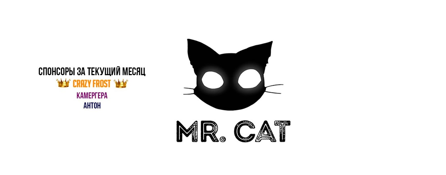 Mr. Cat