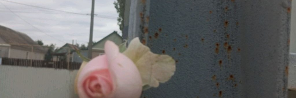 🍁 Женя , Реборны 🍁