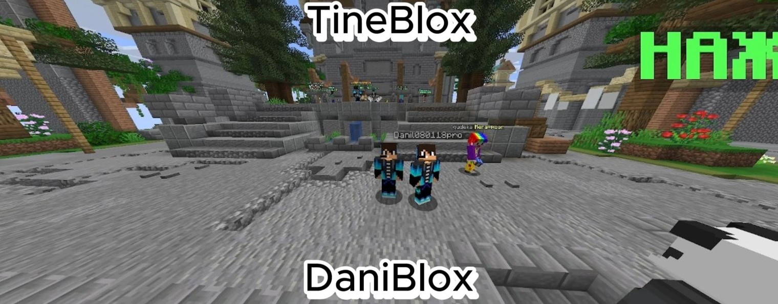 TineBlox и DaniBlox