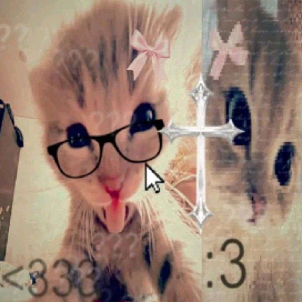 👾Супер мили Котик🐱