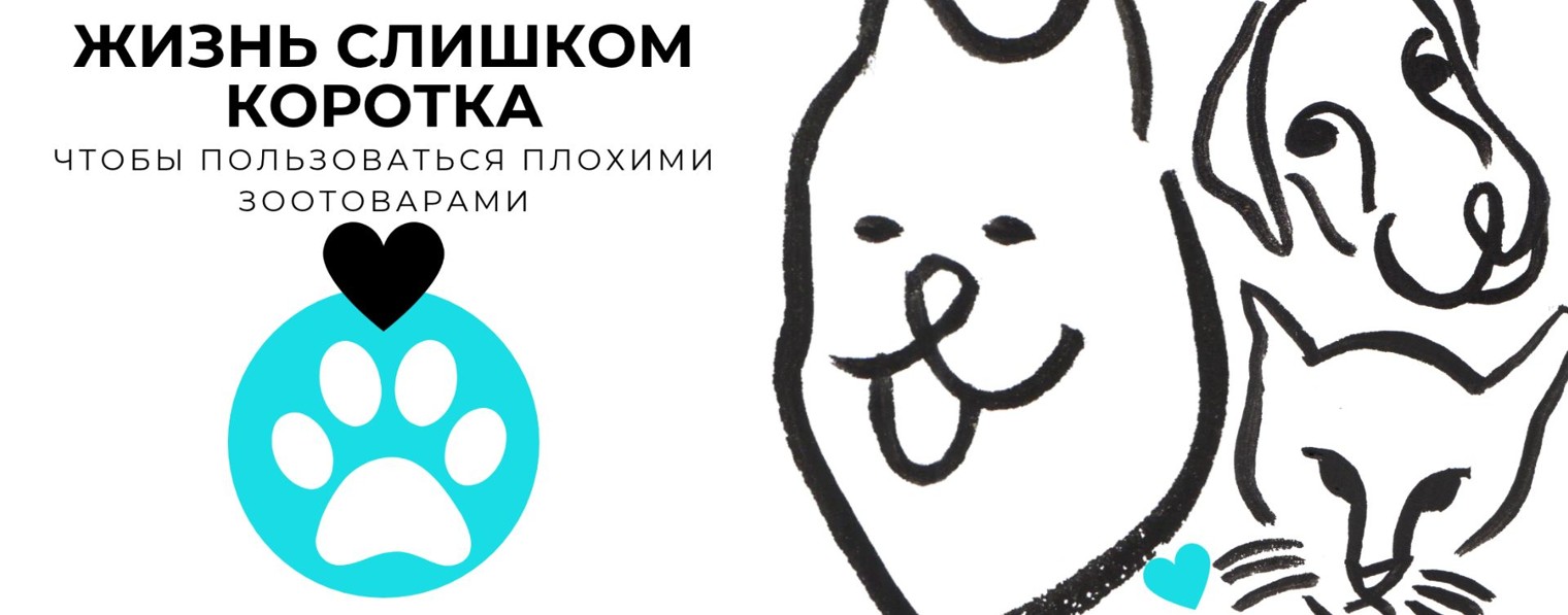 Проект «СмартПетСтроллер»