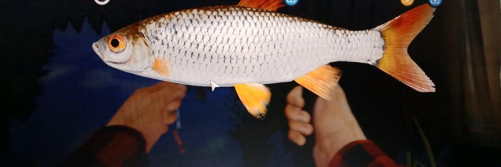 Fishing Crazy