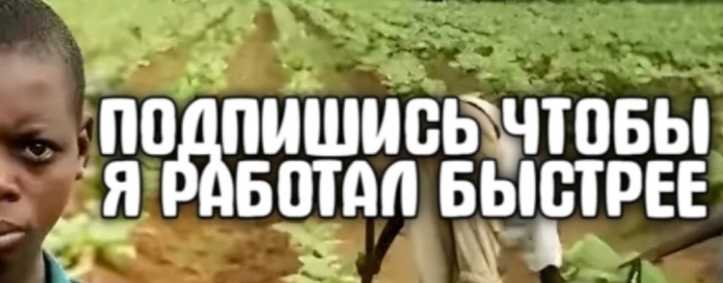 Фетрич
