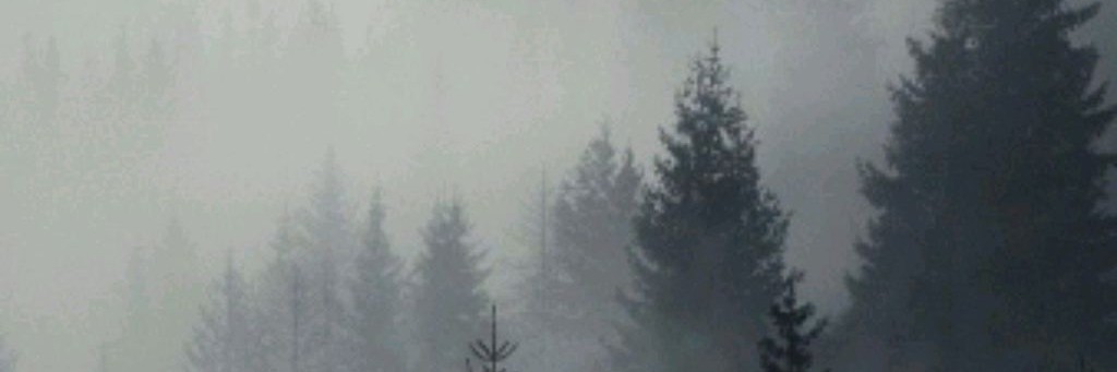 all_eyes