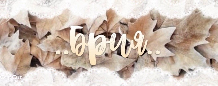 (!)ʙʀɪᴀ's ᴄᴏʀɴᴇʀ🥂