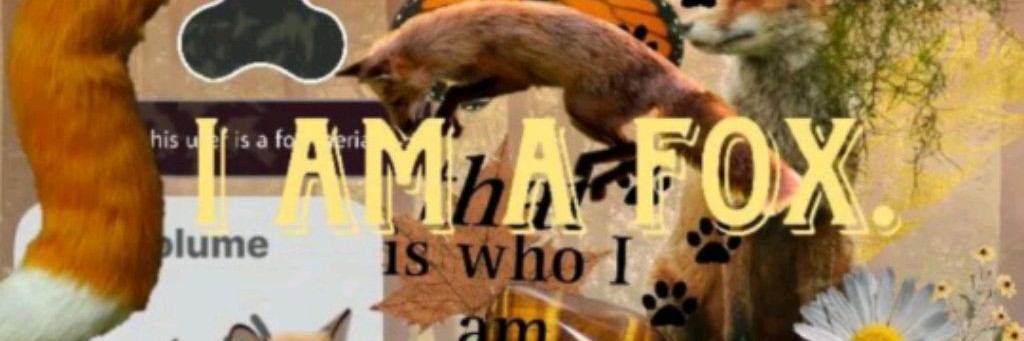 𓃦𖤓•Сарость•𖤓𓃦