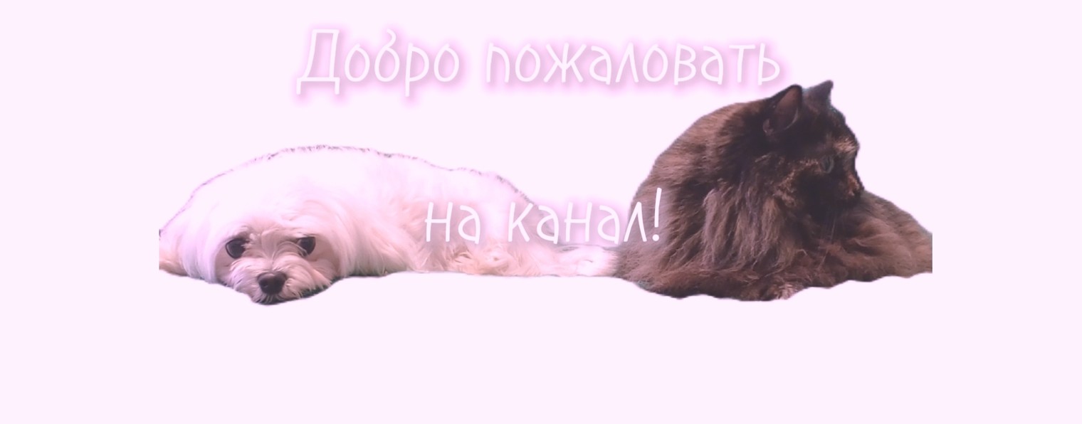 Милли и Ляля🐾