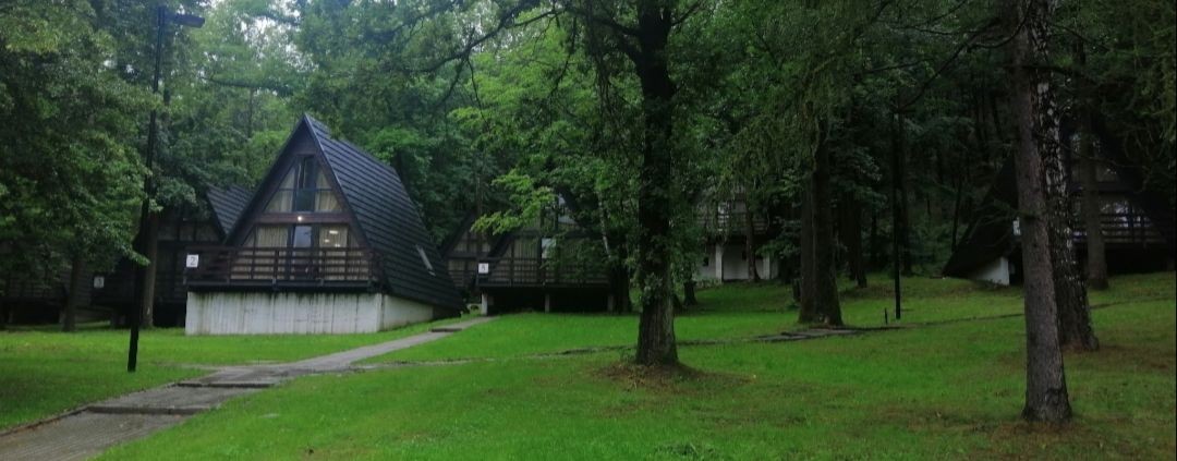 🌲Пасека в лесу🌳