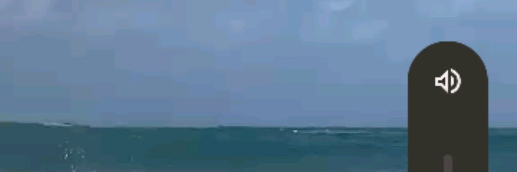 Мока