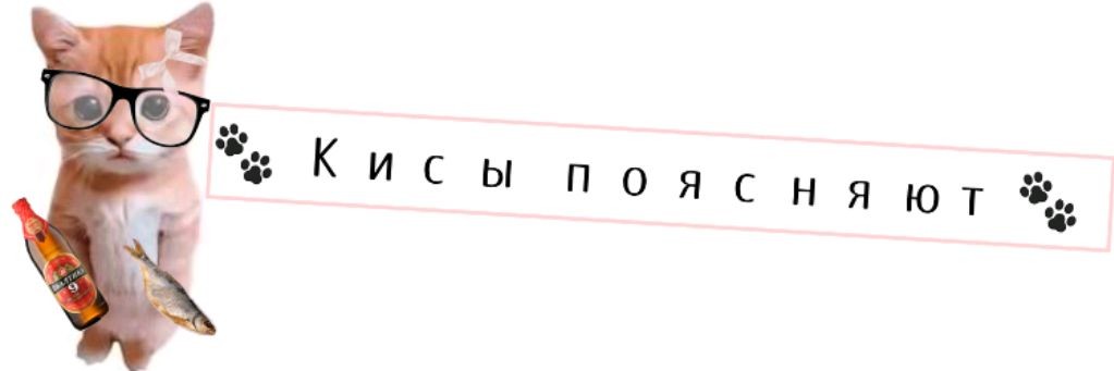 🐾🎼Kисы Поясняют🎼🐾