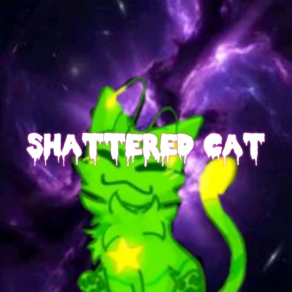 Shattered cat