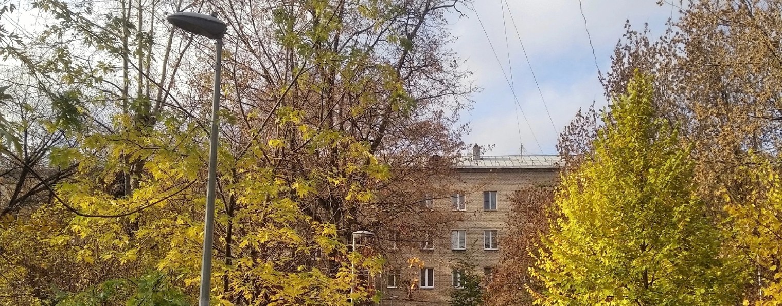 Катерина Волкова.