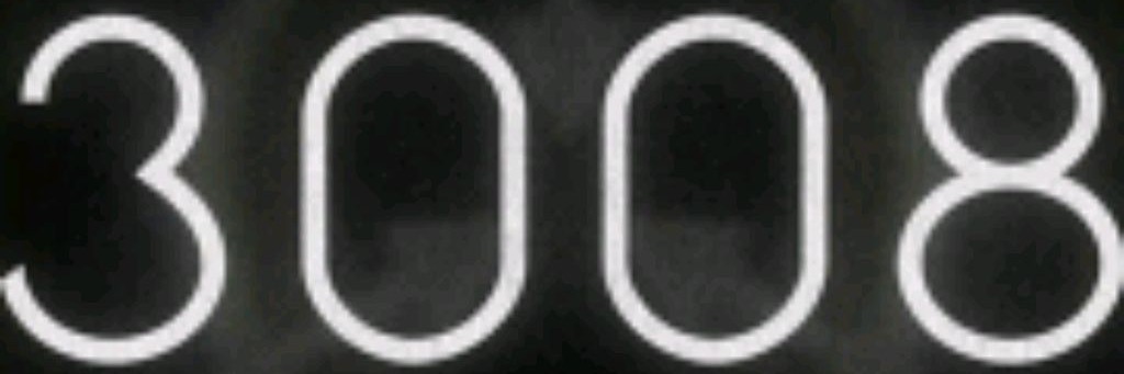 3008