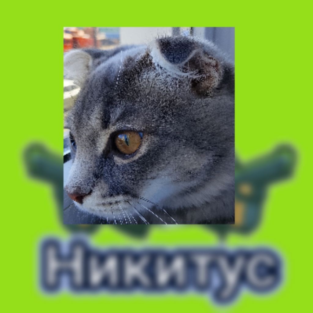 Никита Игры