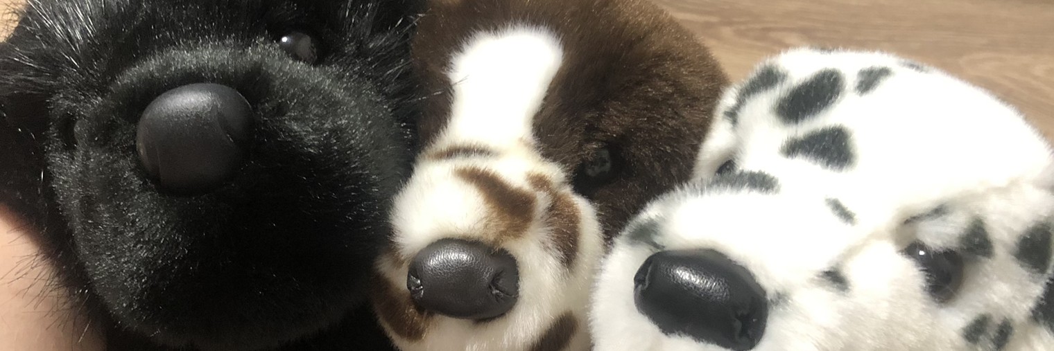 ✶В᧐᧘чьᥙ нᥲᥴ᧘ᥱднᥙκᥙ🐺