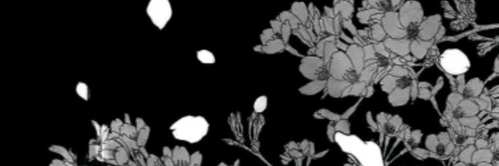 Max Flowers