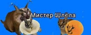 Мистер Шлёпа