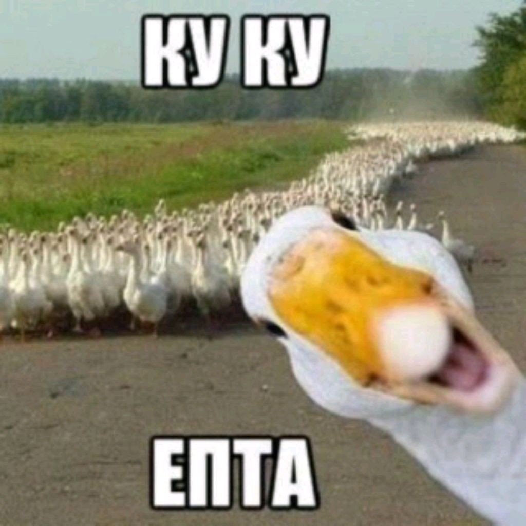 Глеб off
