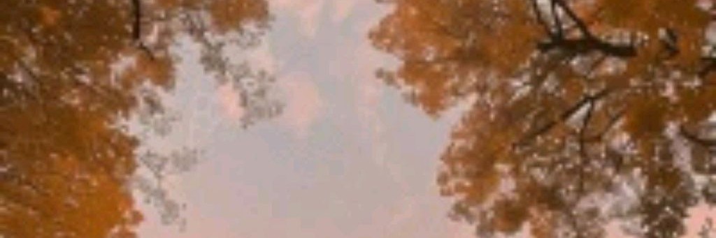 Маша, путешествие жизни и игр