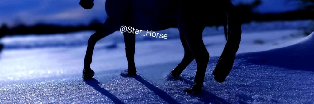 ☾Star_Horse♡ ♘ original