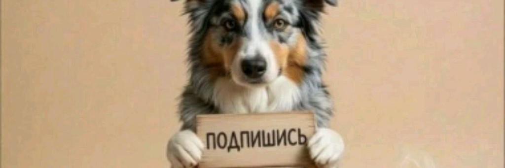 🐶 пдб хилси 🐶