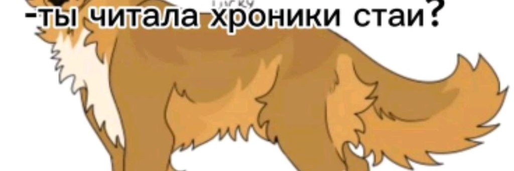 Хр{Кв🩷~Няшка~🩵Кв}Хр